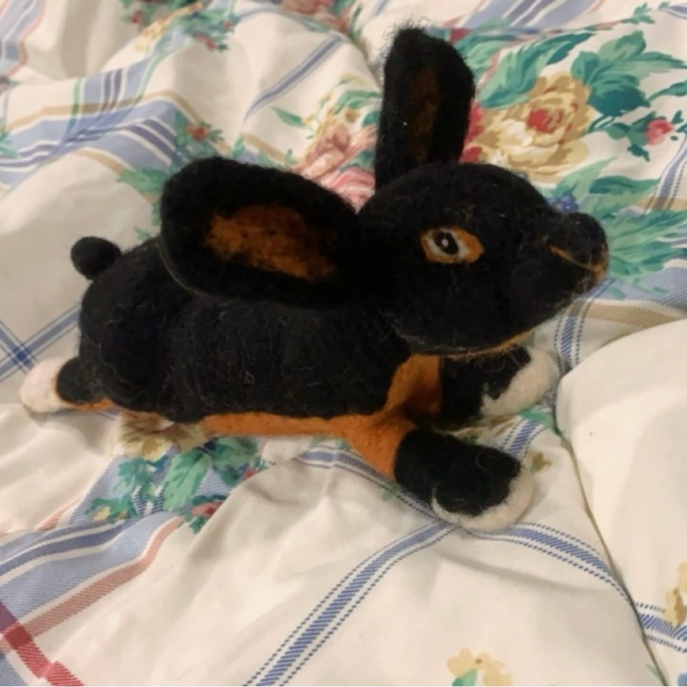 Bunny Rabbit